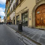 Duomo Luxury Apartment Wi-Fi A/C